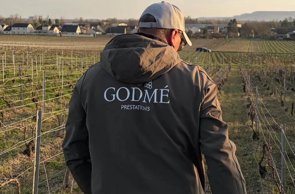 Création de logo a Chalons en Champagne Agence PIMP (ta com)